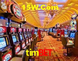 Interface moderna da plataforma timbet